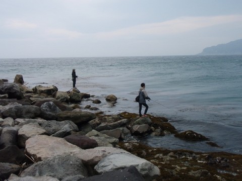 y849sijyk2u3i9y9z2ny_480_480-0e225d39.jpg