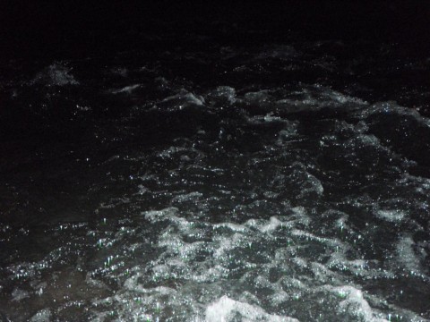 y8byjyyv9myvptptwraz_480_480-9e418471.jpg