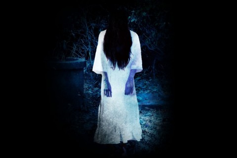 y8dyneutx6x29s88dc4j_480_480-4746a77c.jpg