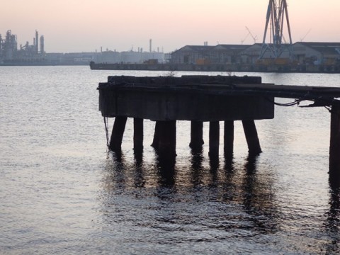 y8r9igazpdbnj6vyjkwr_480_480-f57a626b.jpg