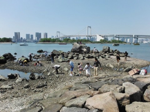 y95f5yhg3tv9452dhbjp_480_480-61629ccb.jpg