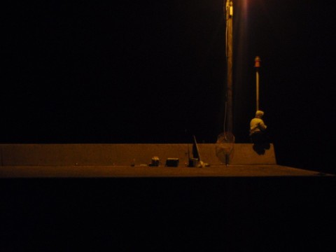 y9fe7vptkfcoyuf44yfr_480_480-e198b561.jpg