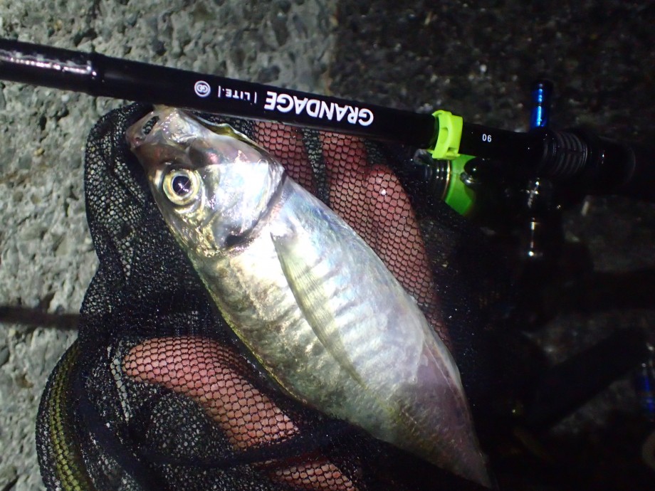 58％以上節約 APIA GRANDAGE LITE 90 グランデージライト90 sushitai 