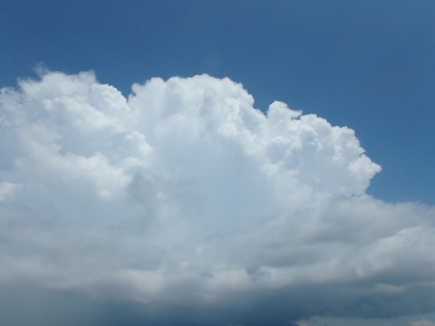 y9ncjn4wgja82e578t2o_480_480-246bf13c.jpg