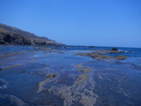 y9zwra56amik6owafy6c_480_480-bd3140b0.jpg