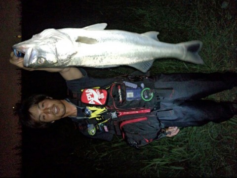 y9zxom7oep72w5utdb37_640_480-905850f5.jpg