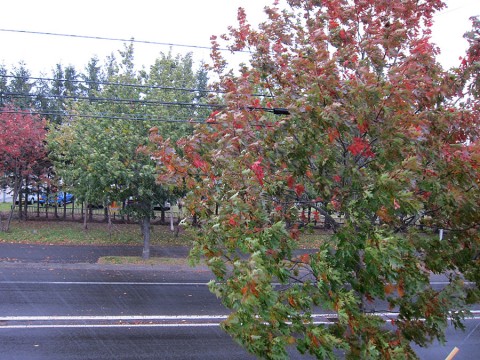 yGxdmUKHw3m7Vcz2exCg_480_480-14312c0e.jpg