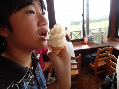 ya2n62966ynoru5ucgb4_480_480-46a9cfc4.jpg