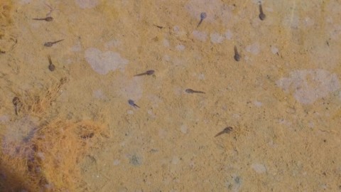 yaibfustwwrxokkw7vvz_920_518-5c178091.jpg