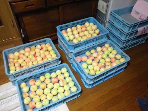 yapif4mpkffbweztdopw_640_480-ca754b48.jpg