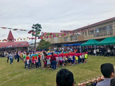 yau392agsk2whhrjiaf8_480_480-11019468.jpg