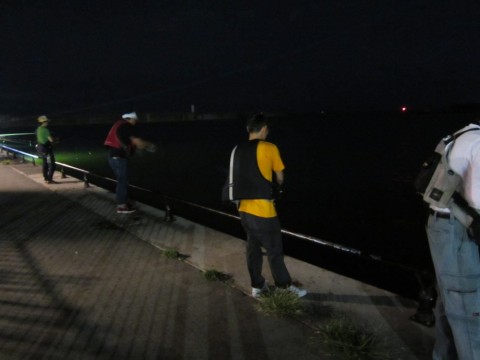 yaxp2gyejpoagskxexmp_480_480-1dba0133.jpg