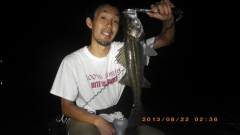 yb386vf4f3cvrnxujhrw_480_480-e315f1b5.jpg