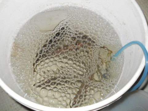 ybbgkuzjv2ae56fuwo7y_480_480-0b61f270.jpg