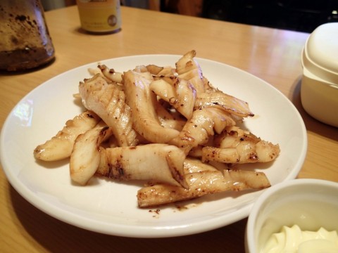 yc325jrzoarv7k4prk7p_480_480-a96e73ea.jpg