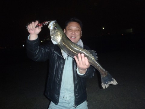 yc48wjkrk33g4ziwpf68_480_480-8d238bc4.jpg