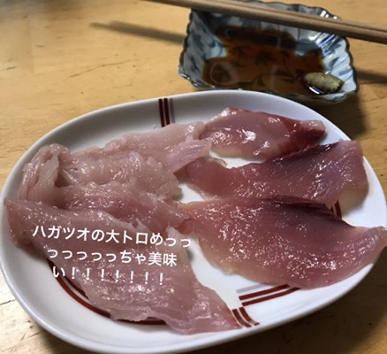 とある釣り好き大学生の日常 寄生虫にやられた話