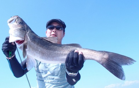ycdpyksao8kcibyerrxp_480_480-53347031.jpg