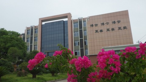 yci5j9fpnnrgn2nbnwxh_480_480-71fd3107.jpg