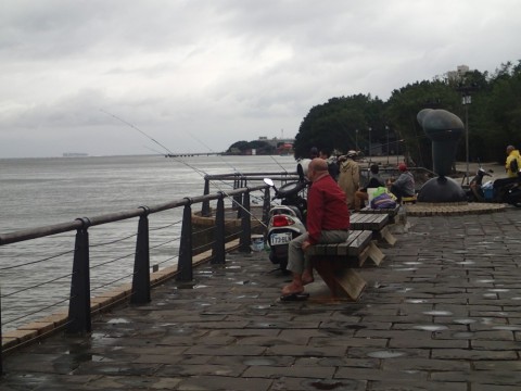 ycns9yiw7x2anhv48k98_480_480-9410abe1.jpg