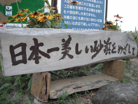 yd75esj5j5gbnczyxt9j_480_480-a5f00253.jpg