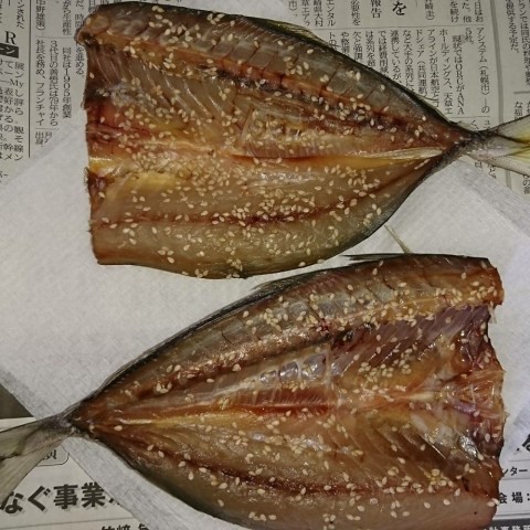 ydnsc6tkuntjj23foess_920_920-66e0e12f.jpg