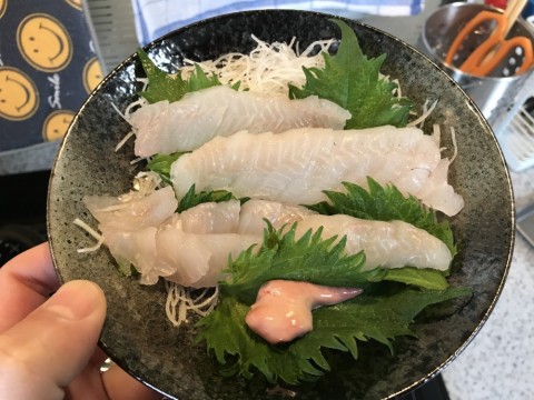 ye8bfgv65ovgboxmpzp8_480_480-20d2af9a.jpg