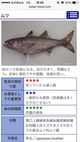 yewr3dmn737mm8p2vrs9_519_920-fd6088ed.jpg