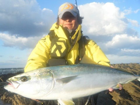 yf442sbrh8xrainney5m_480_480-c2bec6dc.jpg