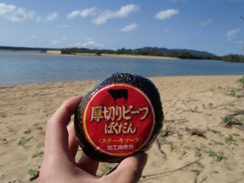 yf7hn2u967inm2gamyu5_480_480-39e87e9c.jpg