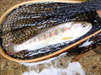 yf9ux4oaaxzpgyrx5f8v-d179f6c6.jpg