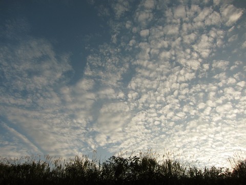 yfNLbWoLspitW6E9gest_480_480-7a138a8c.jpg