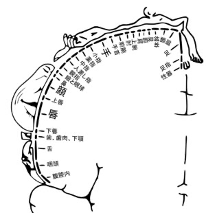 ygeerz564e862z4h5o57_300_310-c3603c80.jpg