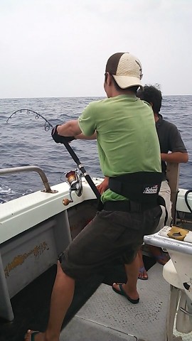 ygh9pca48xad8gxo5khd_480_480-2b8dc85c.jpg