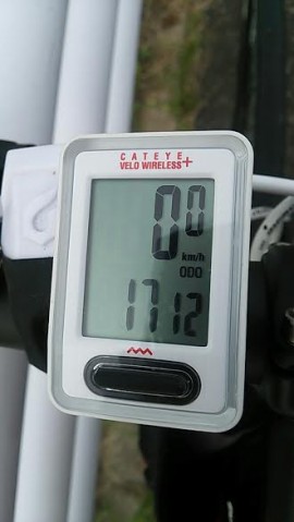 ygi94gi78no9k9pf444s_480_480-e72d5dc1.jpg