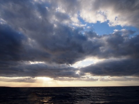 ygiu6s2sh5ktwevyi9x5_480_480-34f79347.jpg