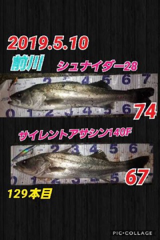 ygjpn3i3dt99vkr8cd5j_480_480-16e2dc67.jpg