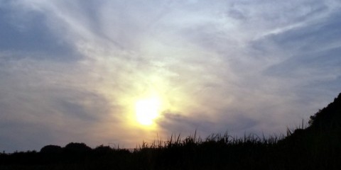 ygmvceecjzodnijwomuf_480_480-5527cdfc.jpg