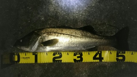 ygsv9if7op8sebwzvbw9_920_518-020db054.jpg