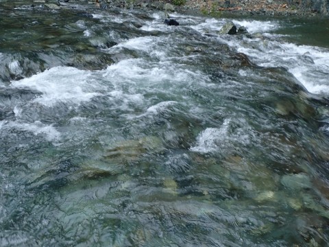 yhp39zv2sjjjz3yv9kd3_480_480-fa678392.jpg