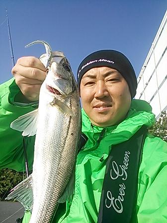 yhs7pjt6yx2gyy5xegbs-0527cadf.jpg