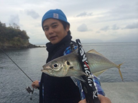 yhtpunusfk2axd7rxinw_480_480-4822bb10.jpg