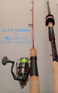 yhvzgmoh5hnmpnck3xtx_297_480-676faf19.jpg