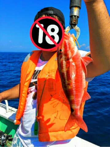 yi4woznhx85rm5nan8jr_480_641-069b4f8b.jpg