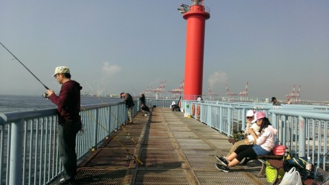 yi6ok7heh4ojk2bt6ttw_480_480-fc66e343.jpg