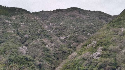 yigyhzkk6bjkkzdpzz2n_480_480-2f264934.jpg