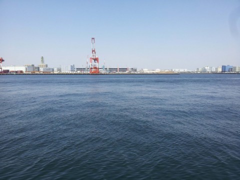 yix89ou3wuwekc37dimv_480_480-ebe177f7.jpg