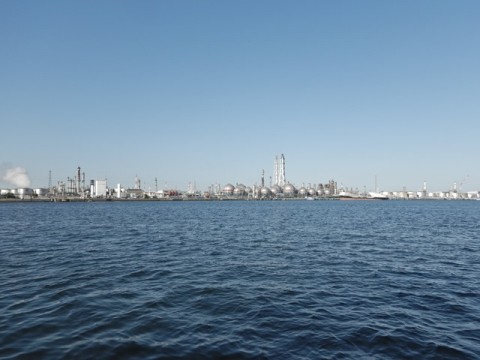 yja67zsm8anh2d3hz9yu_480_480-734e3e00.jpg