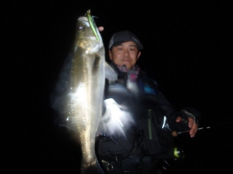 yjwte8cekv7sdsf85jek_480_480-d214f98c.jpg