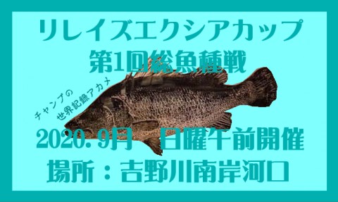 yk8sith2pjgj95n952hg_480_480-ca323f12.jpg